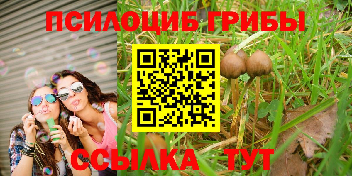 Галлюциногенные грибы Magic Shrooms  Вход с VPN  Рассказово 