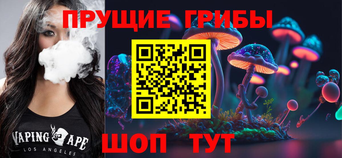 Псилоцибиновые грибы мицелий Рассказово