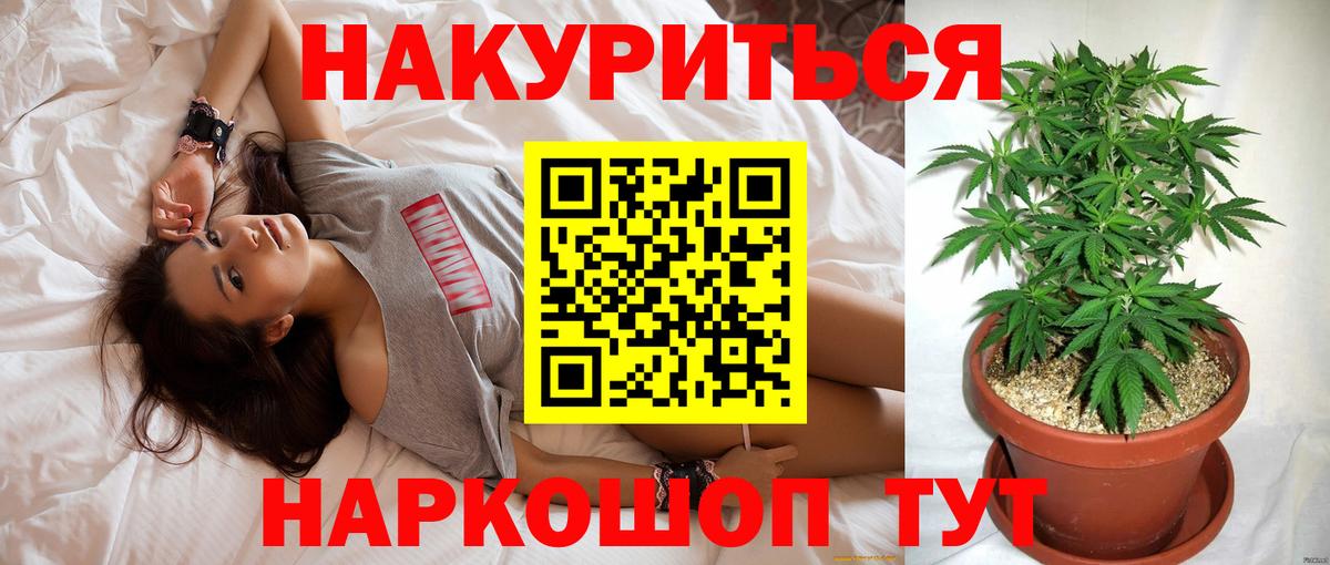 Каннабис OG Kush Рассказово